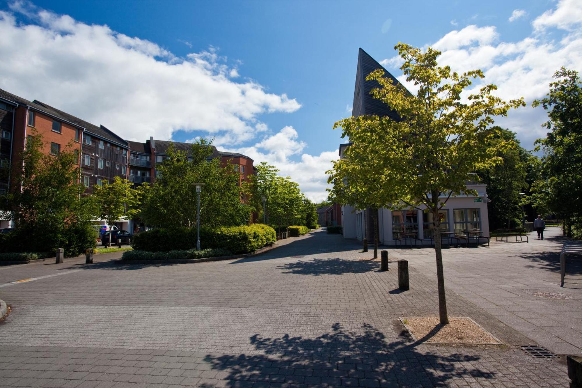 Dromroe Village University Of Limerick Junction Kültér fotó
