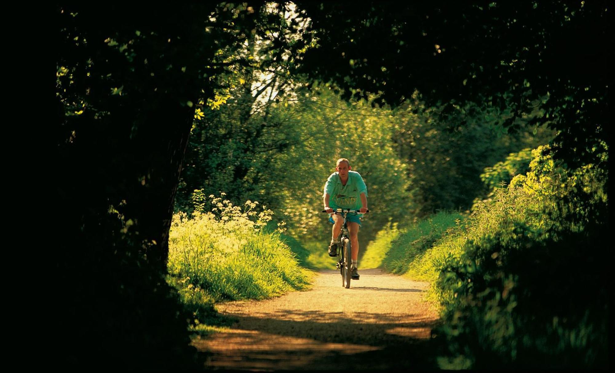 Dromroe Village University Of Limerick Junction Kültér fotó